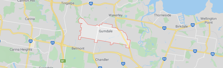 Gumdale QLD 4154