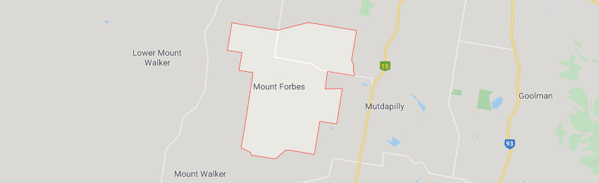 Mount Forbes QLD 4340